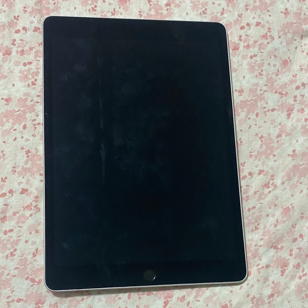 Apple Tablet - Sleek Silver Finish